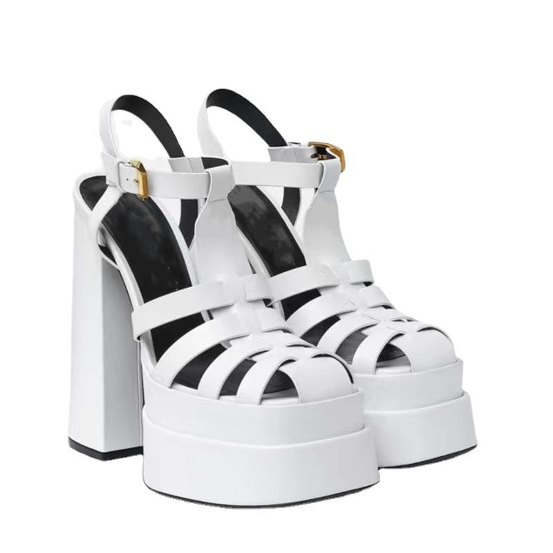 Summer Thick Heels High Heels Fish Mouth Europe And The United States