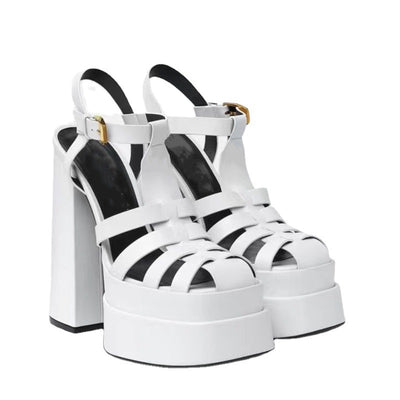 Summer Thick Heels High Heels Fish Mouth Europe And The United States