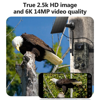 4G GPS Hunting Outdoor Trail Camera Wide Angle 4MP Camouflage Wildlife Deer Monitoring Solar Hunt Camera